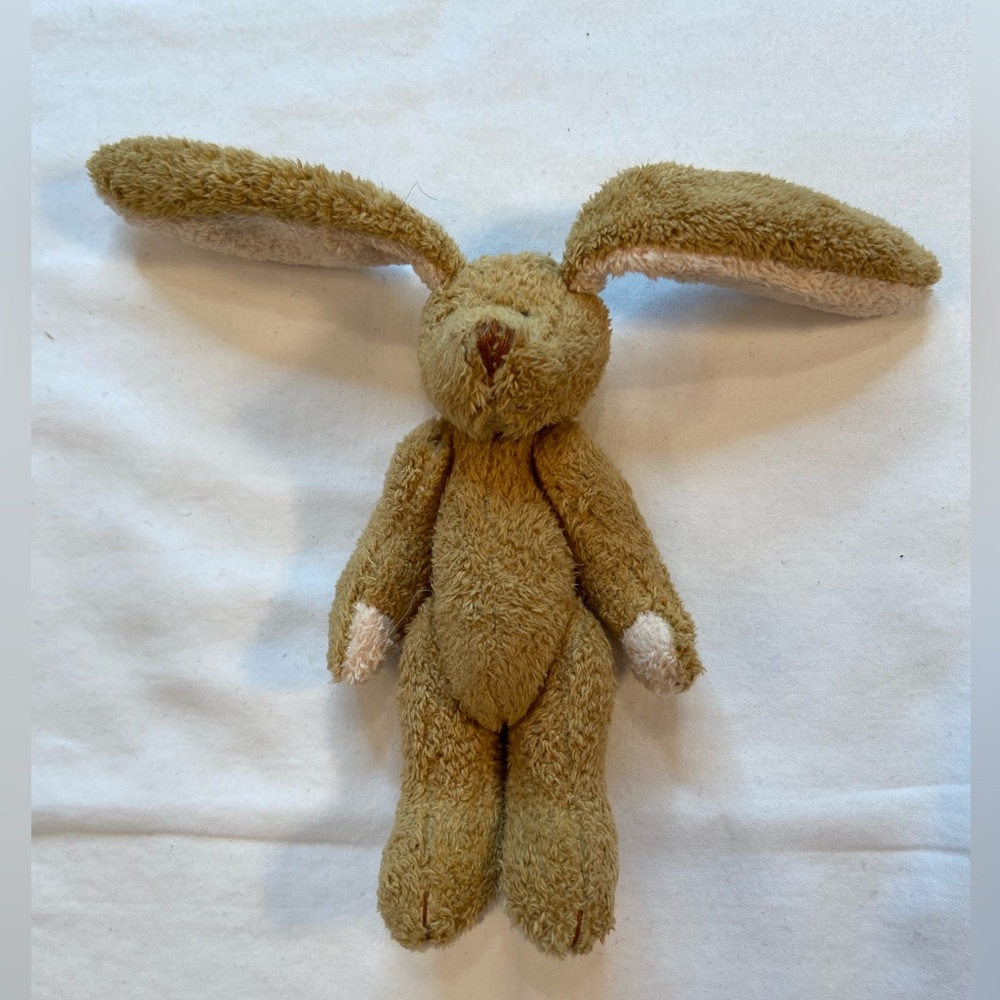 Little Rabbit Foo Foo, Bunny Rabbit, Small fits in your hand!